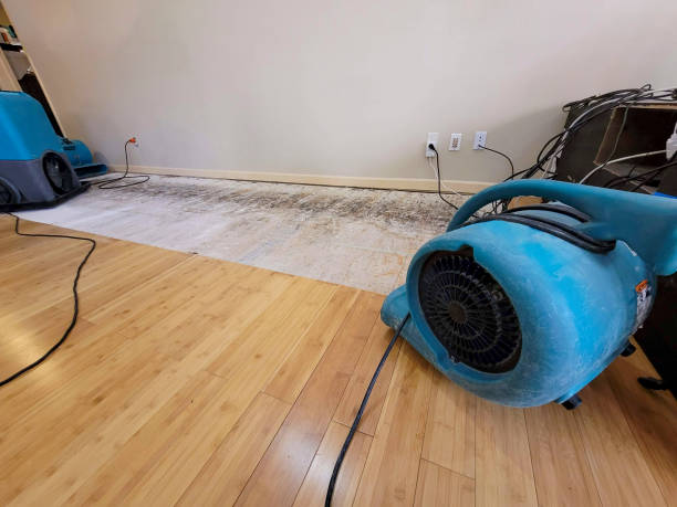 Professional Structural Drying technician working in Osage, WV